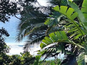 931 m² Land available in Mtwalume