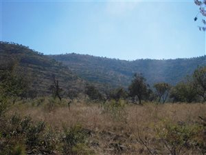 21.4 ha Farm in Hennops River