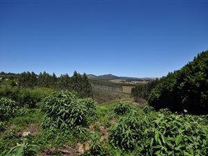 2059 m² Land available in Hilton