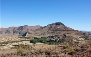 887 ha Farm in Ficksburg