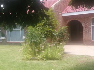 3 Bed House in Hennenman