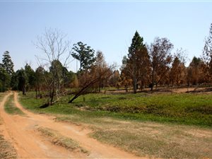 10.3 ha Farm in Vryheid