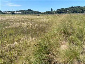 1 ha Land available in Ballito Commercial District
