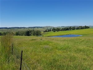 77.7 ha Farm in Mooi River