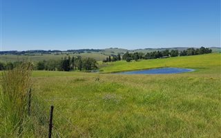 77.7 ha Farm in Mooi River