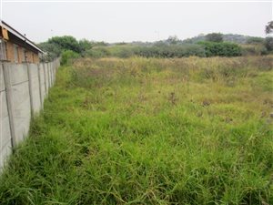 1667 m² Land available in Azaleapark