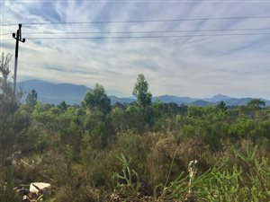 5051 m² Land available in The Crags