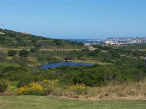 2164 m² Land available in Aalwyndal