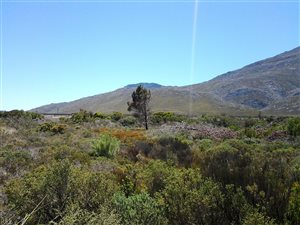 1152 m² Land available in Bettys Bay