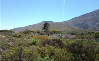 1152 m² Land available in Bettys Bay