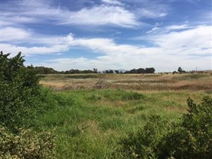 27 ha Farm in Paarl