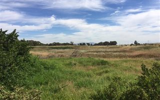 27 ha Farm in Paarl