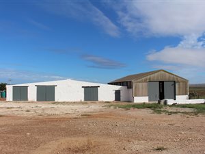 815 ha Farm in Vredenburg