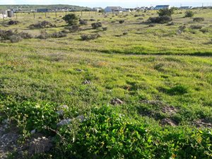 2.1 ha Farm in Long Acres