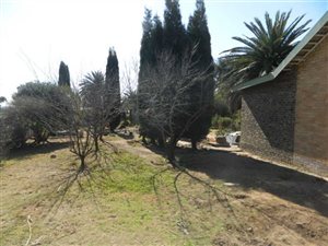 3 Bed House in Ogies