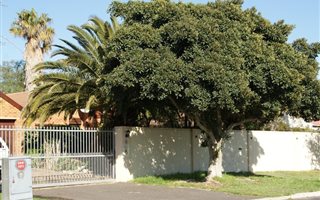 302 m² Commercial space in Tableview