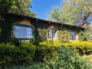9 ha Smallholding in Haenertsburg
