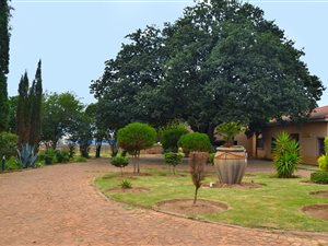 3 Bedroom House in Lilyvale