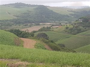 4780 m² Land available in Elysium