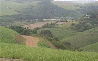 4780 m² Land available in Elysium