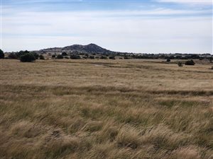 415 ha Farm in Pellissier