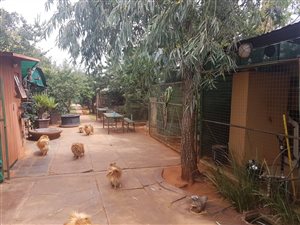 3.1 ha Land available in Wilkoppies