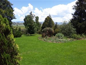 3 Bed House in Himeville