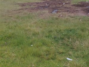 2 ha Land available in Welgedacht