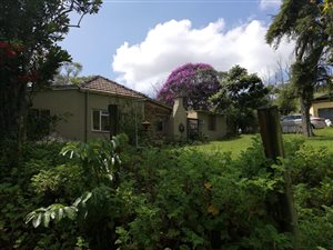 8094 m² Farm in Peacevale