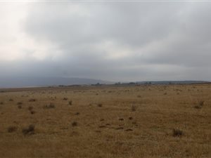 8 ha Farm in Wakkerstroom