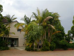 4 Bedroom House in Lukasrand
