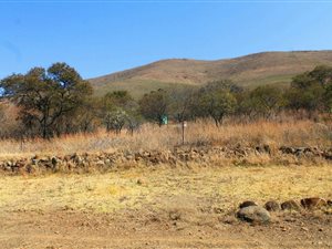 36.9 ha Smallholding in Lydenburg