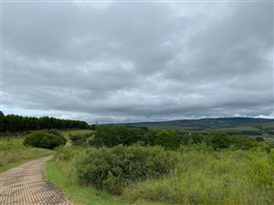 1 ha Land available in White River
