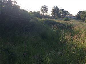 2.2 ha Land available in Willow Glen