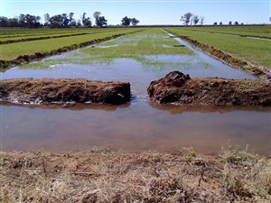 101 ha Farm in Britstown