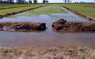 101 ha Farm in Britstown