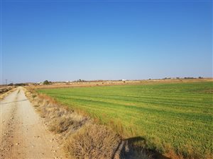 22 ha Farm in Upington