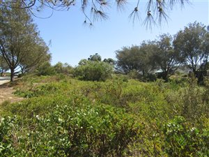482 m² Land available in Kleinkrantz
