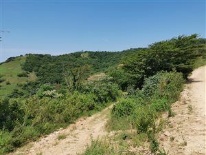 4 ha Farm in Craigieburn