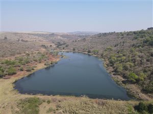 212 ha Farm in Ashburton