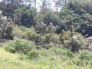 1035 m² Land available in Saiccor