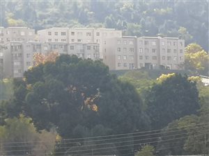 2 Bed Apartment in Chasedene