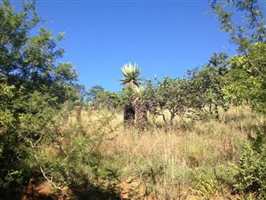 2903 m² Land available in Barberton