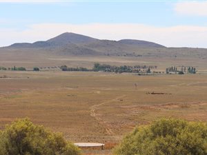 771 ha Farm in Dewetsdorp