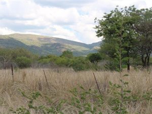 Farm in Mokopane