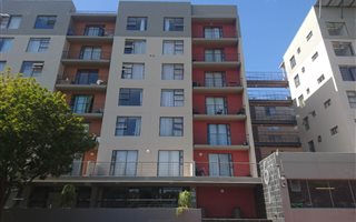 1 Bedroom Apartment in Zonnebloem