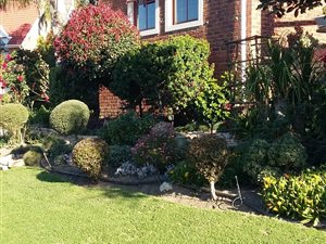 3 Bed House in Panorama