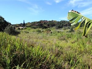 7 ha Farmland in Trafalgar