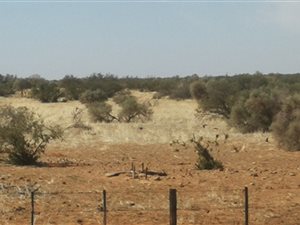 6625 ha Farm in Olifantshoek