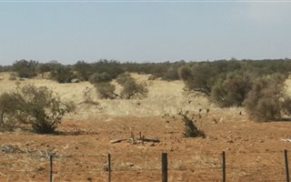 6625 ha Farm in Olifantshoek